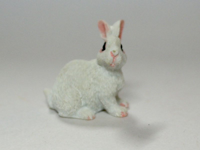 画像1: ラビット (1)