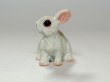 画像2: ラビット (2)