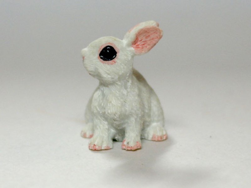 画像2: ラビット (2)