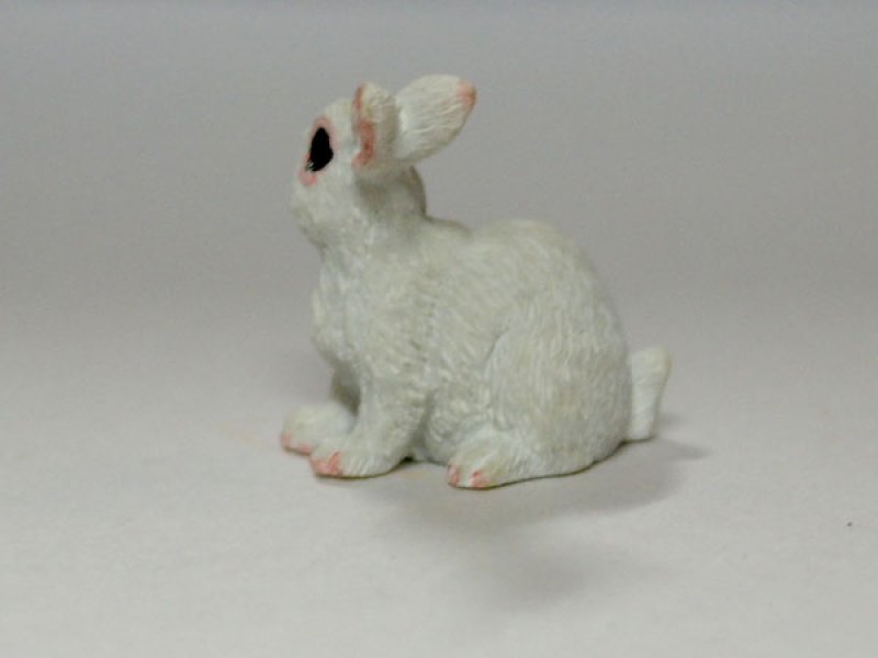 画像3: ラビット (3)