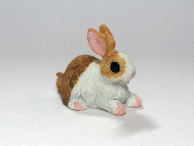 画像1: ラビット (1)