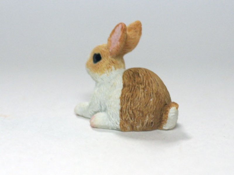 画像3: ラビット (3)