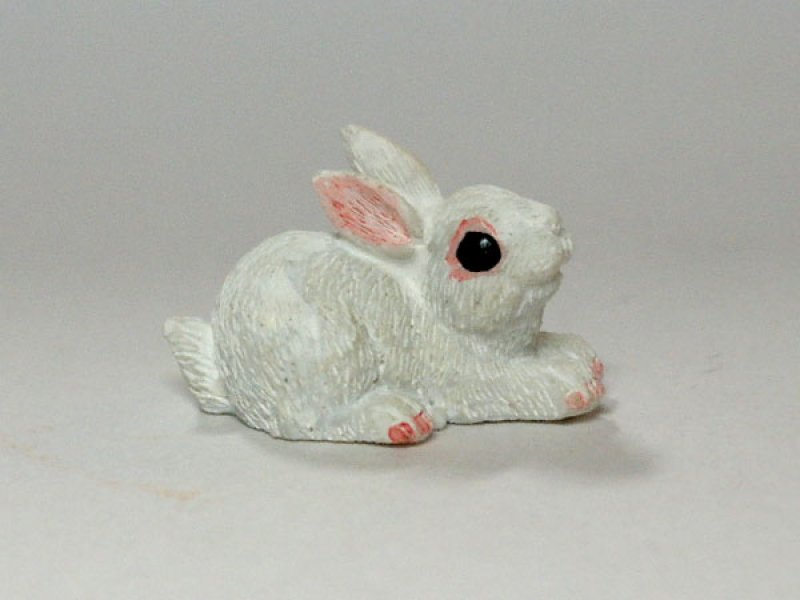 画像1: ラビット (1)