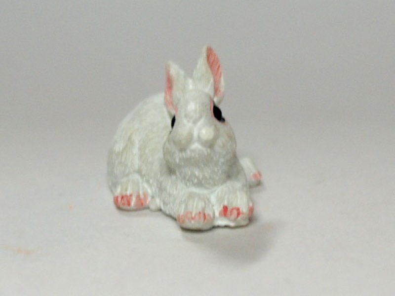 画像2: ラビット (2)