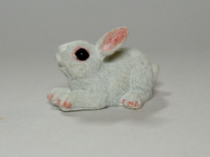 画像3: ラビット (3)