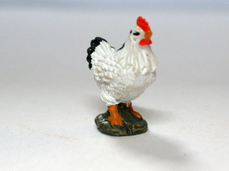 画像2: にわとり (2)