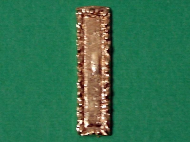 画像1: ドア　フィンガー　プレート　真鍮 (1)