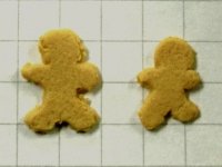 クッキー 2枚入り