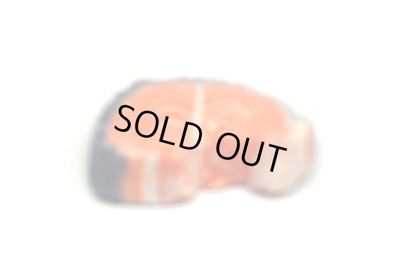 ミニチュア 1/12スケール サーモン切り身