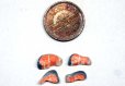 ミニチュア 1/12スケール サーモン切り身