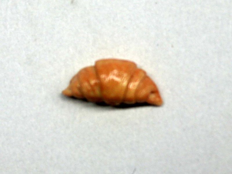 ミニチュア 1/12スケール