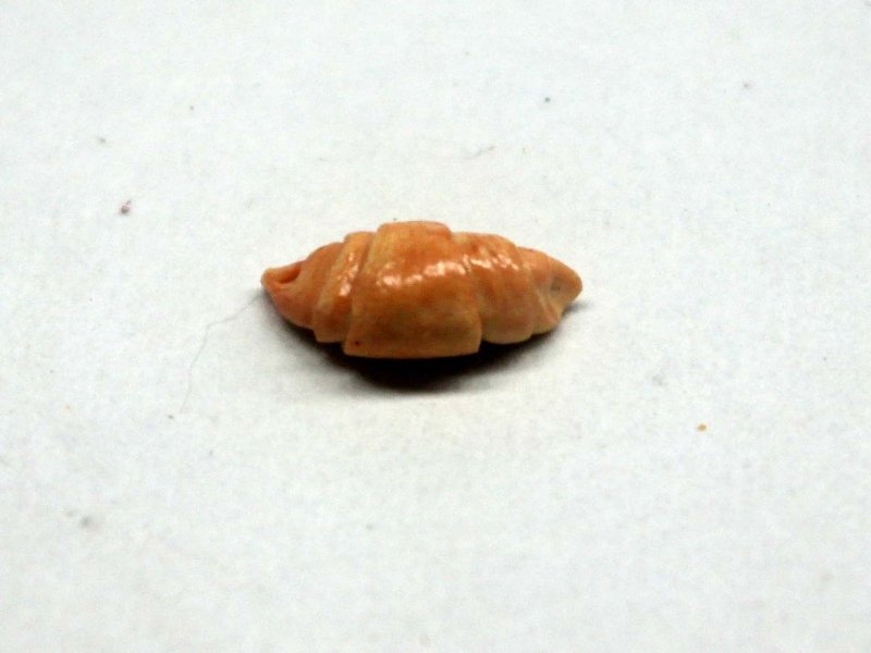 ミニチュア 1/12スケール クロワッサン