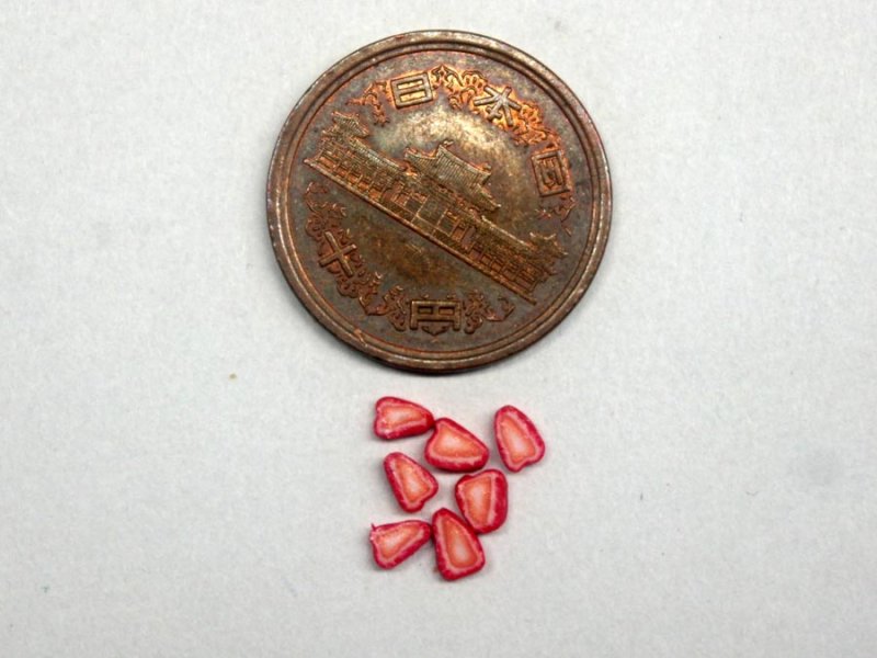 ミニチュア 1/12スケール ストロベリー　スライス　7枚入り