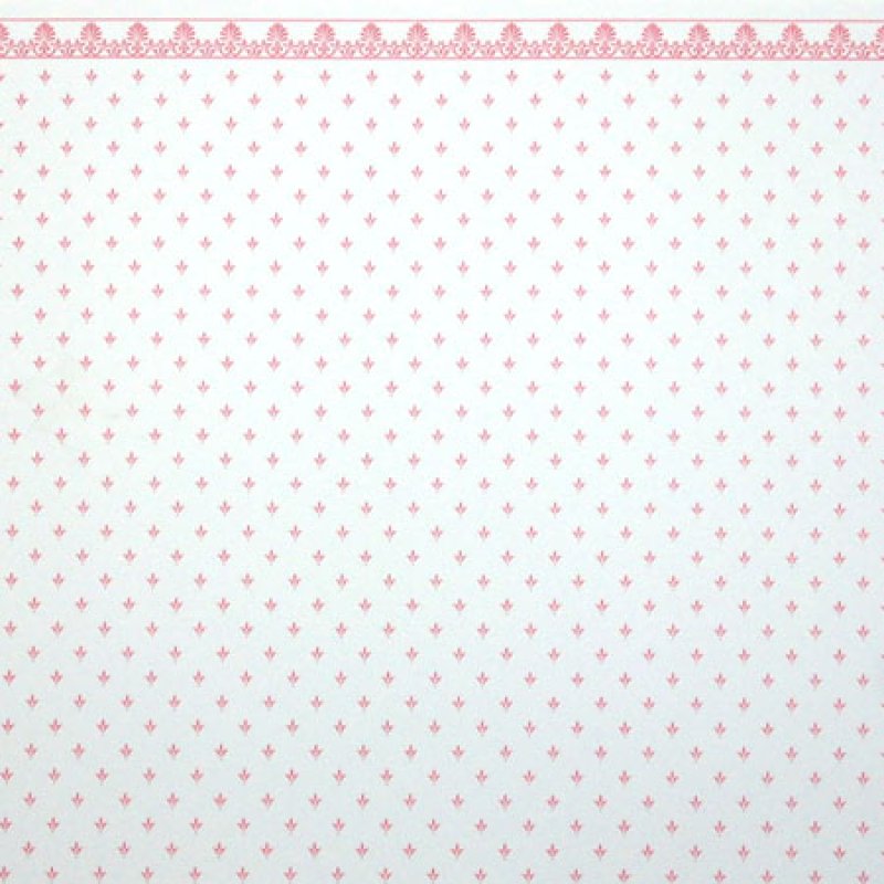 画像3: REGAL Pink/White (3)