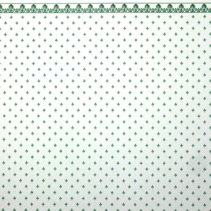画像3: REGA  Green/White (3)