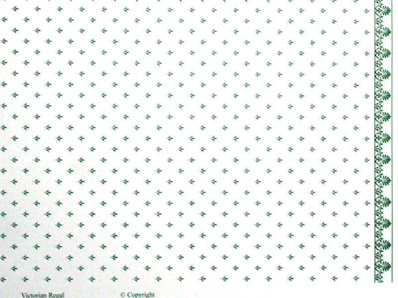 画像5: REGA  Green/White (5)