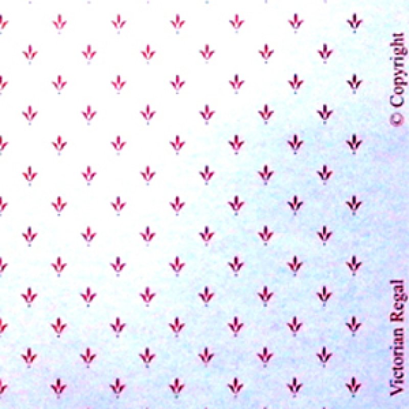 画像4: "Regal"　Pink/Cream (4)