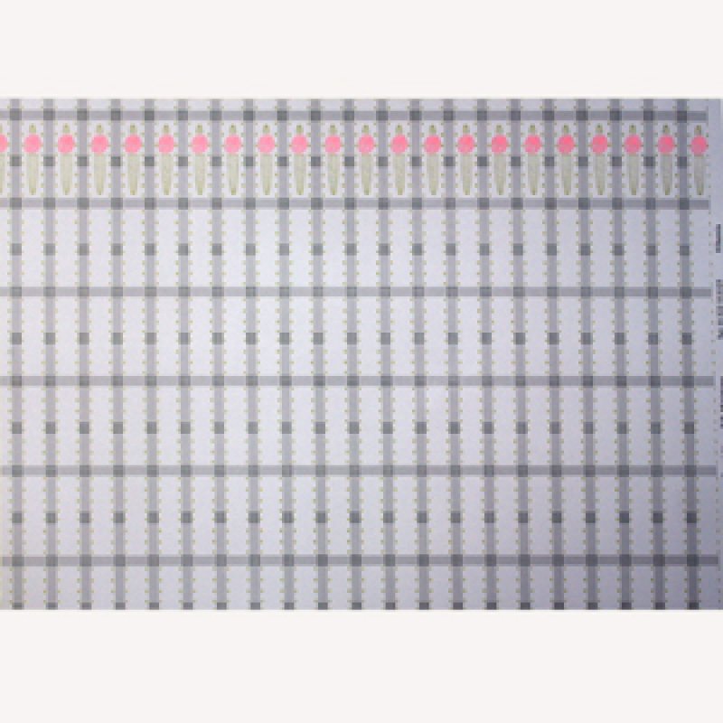 画像5: "Hibernia"　　Silver/Pink (5)