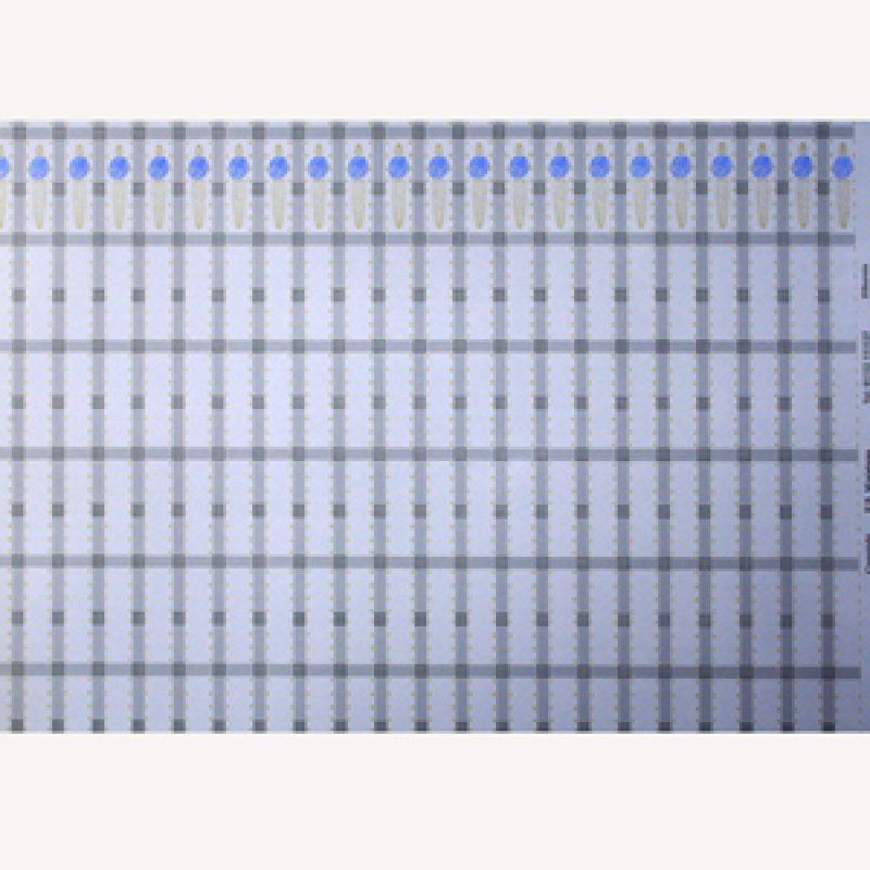 画像5: "Hibernia"　　Blue/Blue (5)