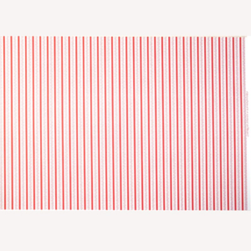 画像5: "Princess Rose"　Red (5)