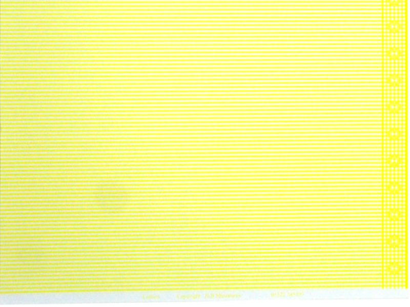 画像5: CALICO Yellow (5)