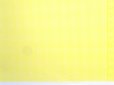 画像5: GINGHAM Yellow (5)