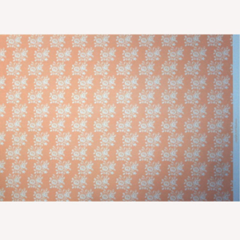 画像5: "Blenheim"　Pastel Peach (5)