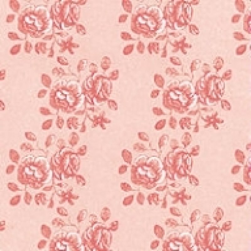 画像1: "Blenheim"　Peach (1)