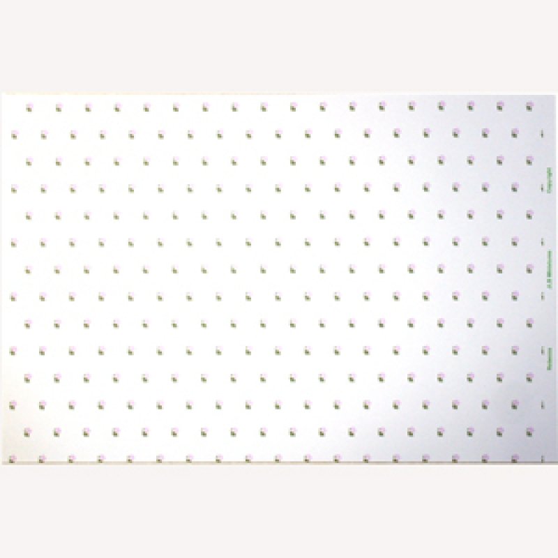 画像5: "Rebecca"　Lilac/White (5)