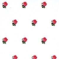 "Rebecca"　Pink/White