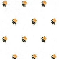 "Rebecca"　Peach/White