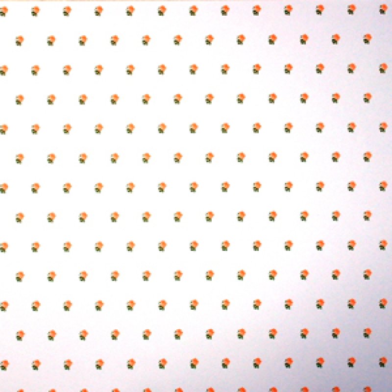 画像3: "Rebecca"　Peach/White (3)