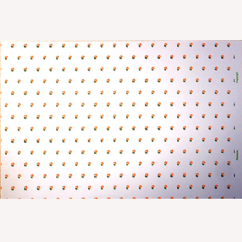 画像5: "Rebecca"　Peach/White (5)