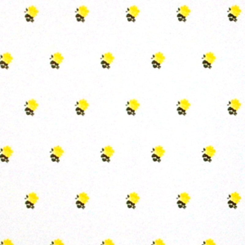 画像2: "Rebecca"　Yellow/White (2)