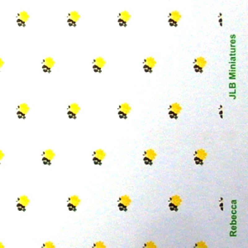 画像4: "Rebecca"　Yellow/White (4)