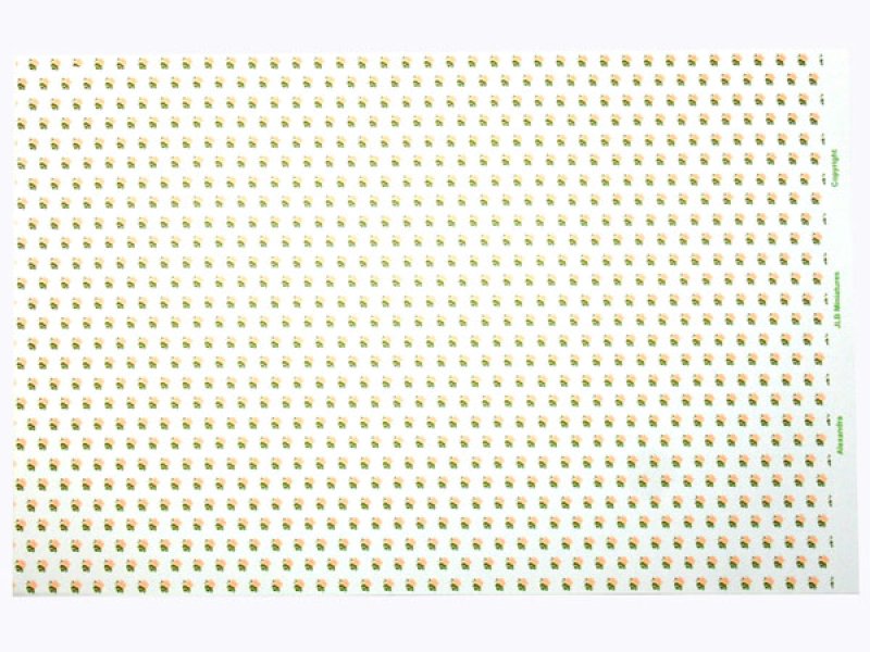 画像4: ALEXANDRA Peach (4)