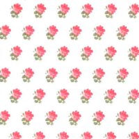 ALEXANDRA Pink/White