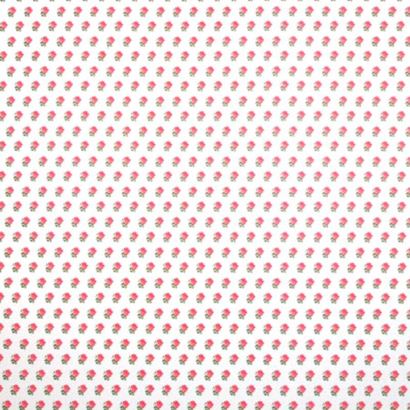 画像3: ALEXANDRA Pink/White (3)