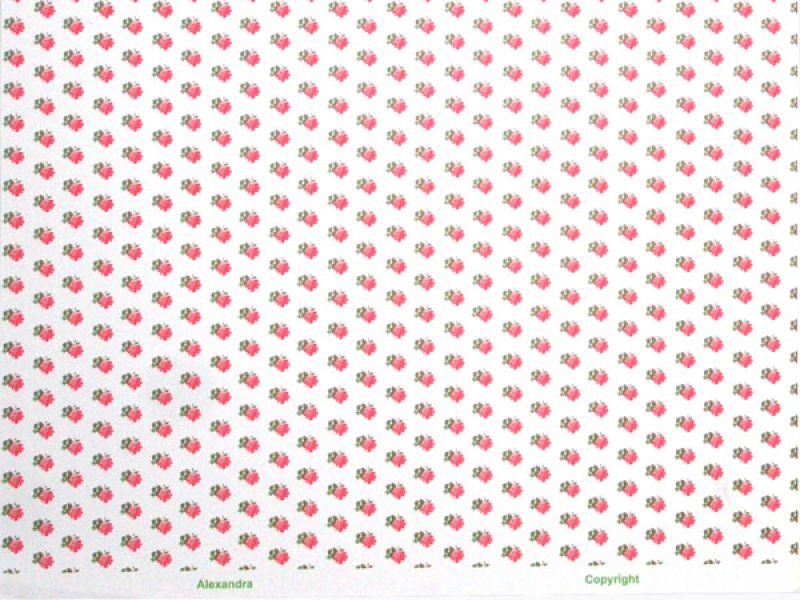 画像4: ALEXANDRA Pink/White (4)