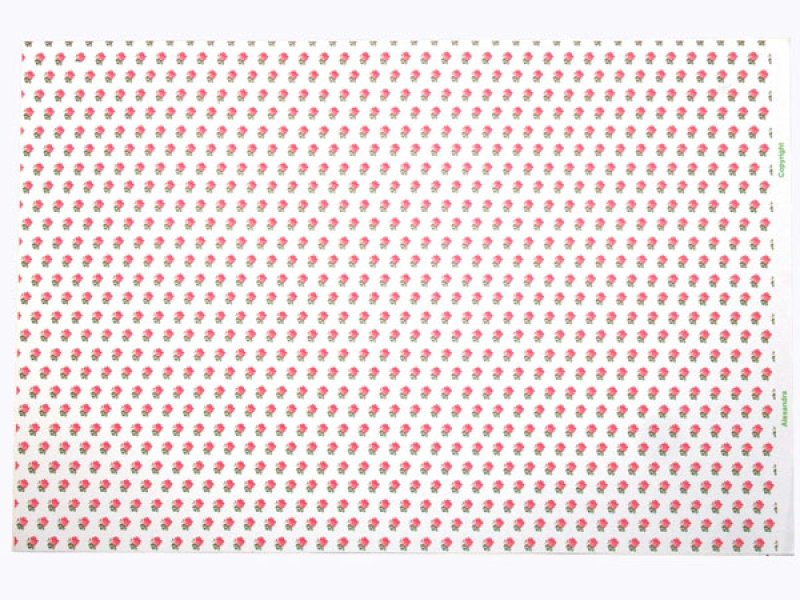 画像5: ALEXANDRA Pink/White (5)