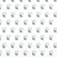 ALEXANDRA Lilac/White