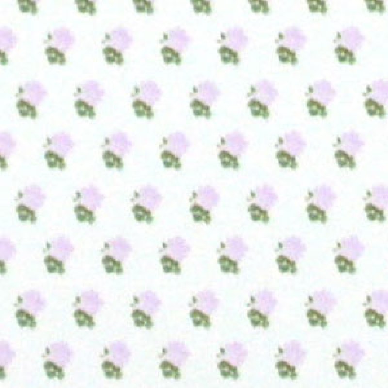 画像1: ALEXANDRA Lilac/White (1)