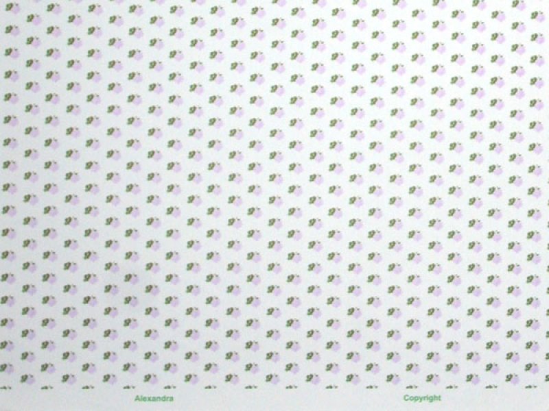 画像5: ALEXANDRA Lilac/White (5)