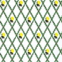 "Jennifer"　Yellow/White