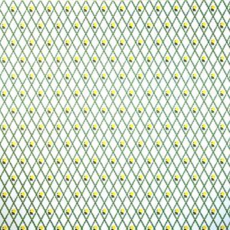 画像3: "Jennifer"　Yellow/White (3)