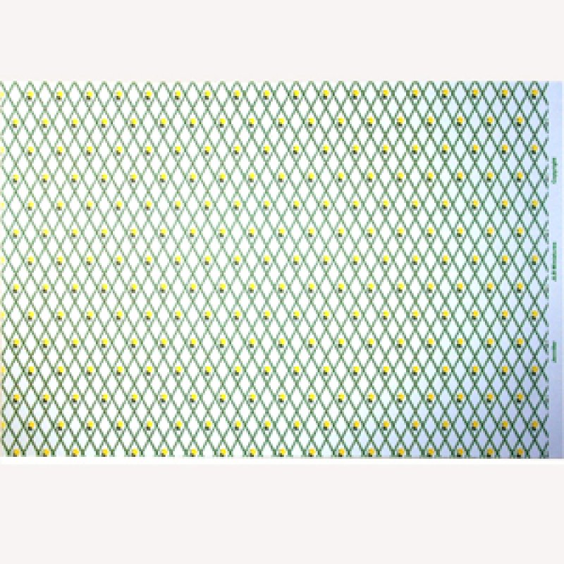 画像5: "Jennifer"　Yellow/White (5)