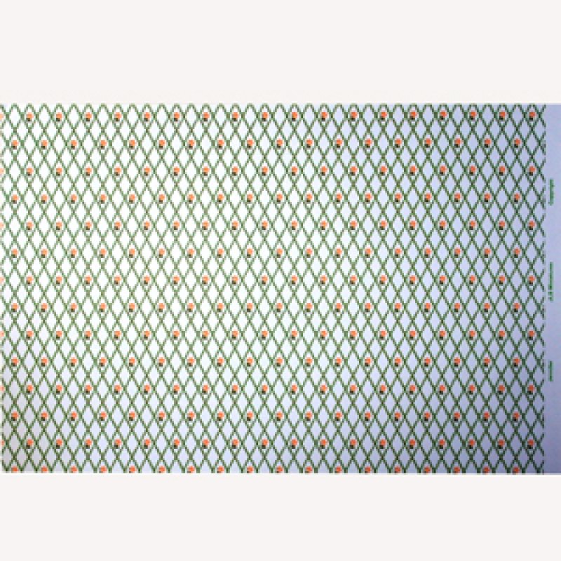 画像5: "Jennifer"　Peach/White (5)