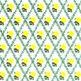 画像1: RACHEL Yellow/White (1)