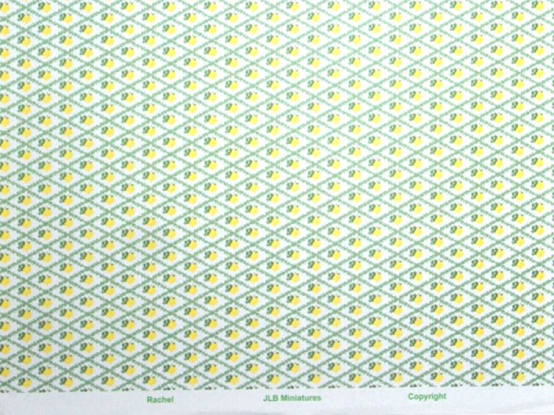 画像5: RACHEL Yellow/White (5)