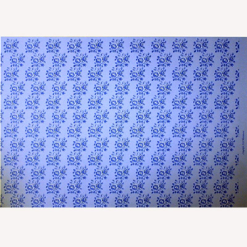 画像5: "Blenheim"　Blue (5)